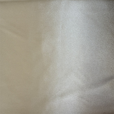 NT-P240198