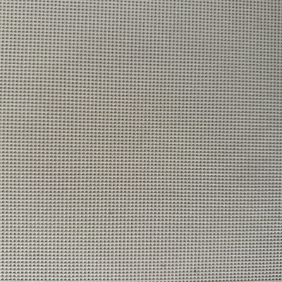 NT-P240399