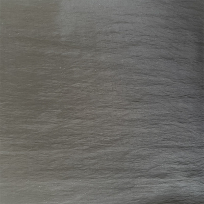 NT-P240130