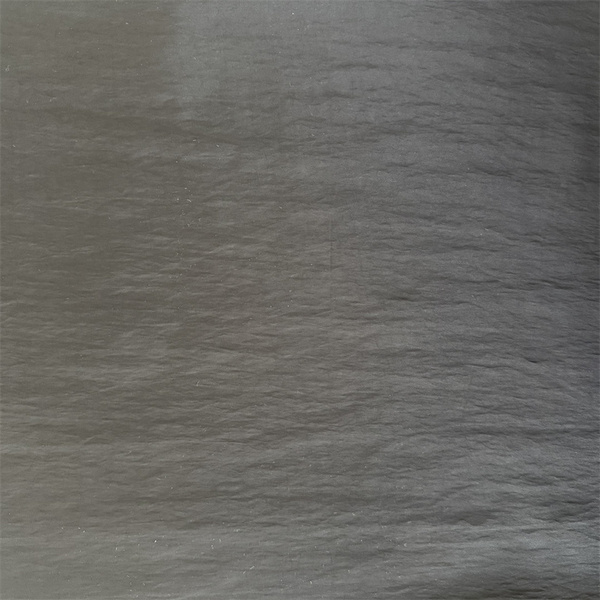NT-P240130