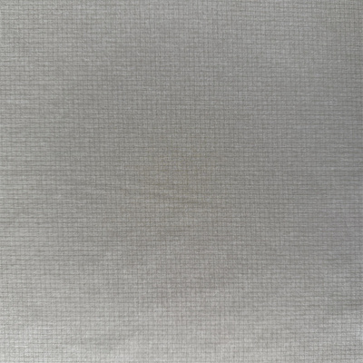 NT-P240021