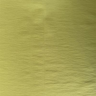 NT-P240193