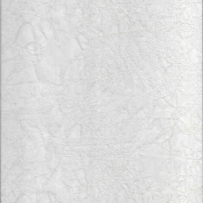 NT-J240009