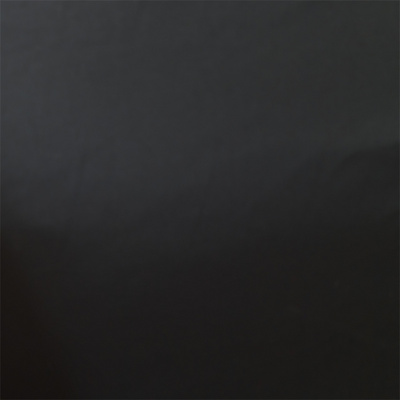 NT-P240211