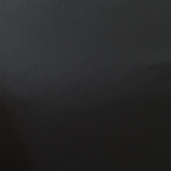 NT-P240211